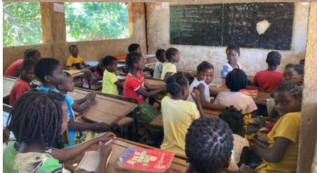 ORARE 100%有機認證馬魯拉油 - 縮圖 2