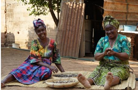 ORARE 100%有機認證馬魯拉油 - 縮圖 1